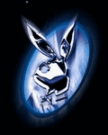 pic for Metal Playboy